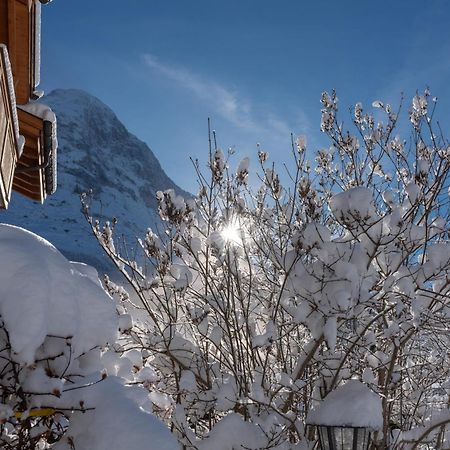 Chalet Alia And Apartments-Grindelwald By Swiss Hotel Apartments Exterior foto